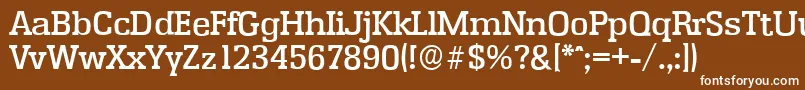 EnschedeserialMediumRegular Font – White Fonts on Brown Background