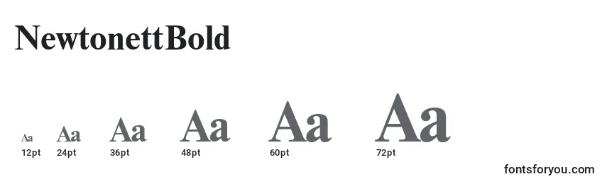 NewtonettBold Font Sizes