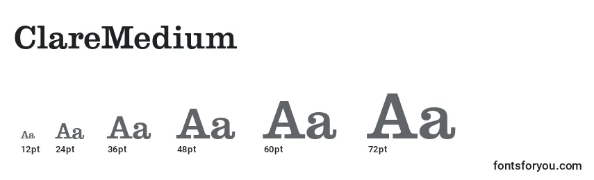 Размеры шрифта ClareMedium