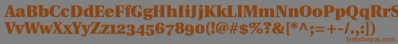 UtopiaBlackWithOldstyleFigures Font – Brown Fonts on Gray Background