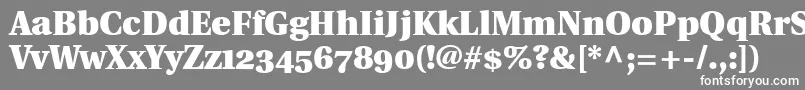 UtopiaBlackWithOldstyleFigures Font – White Fonts on Gray Background
