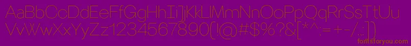 VillerayroundedThin Font – Brown Fonts on Purple Background