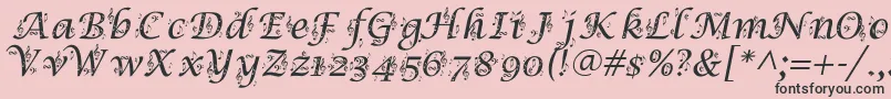 SymphonyInAbc Font – Black Fonts on Pink Background