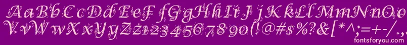 SymphonyInAbc Font – Pink Fonts on Purple Background