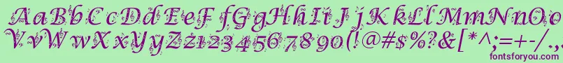 SymphonyInAbc Font – Purple Fonts on Green Background