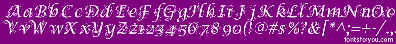 フォントSymphonyInAbc – 紫の背景に白い文字