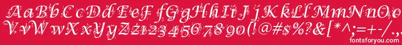 SymphonyInAbc Font – White Fonts on Red Background