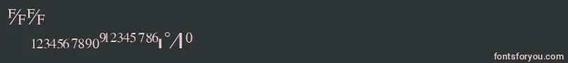 TimesFraction.B Font – Pink Fonts on Black Background