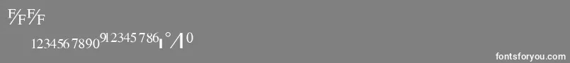 TimesFraction.B Font – White Fonts on Gray Background