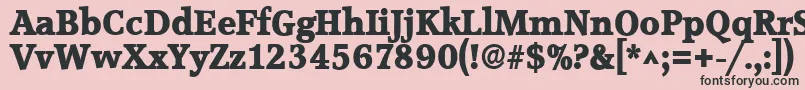 AccoladelhBold Font – Black Fonts on Pink Background