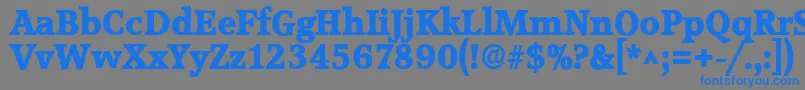 AccoladelhBold Font – Blue Fonts on Gray Background