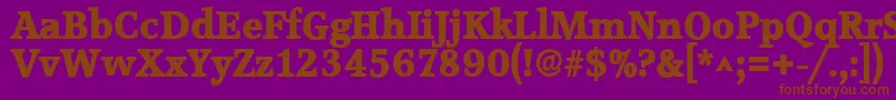 AccoladelhBold Font – Brown Fonts on Purple Background