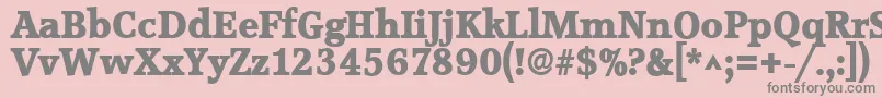 AccoladelhBold Font – Gray Fonts on Pink Background