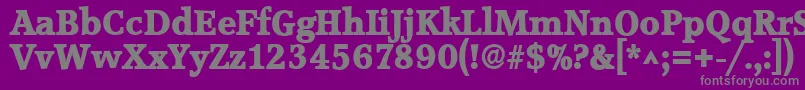 フォントAccoladelhBold – 紫の背景に灰色の文字