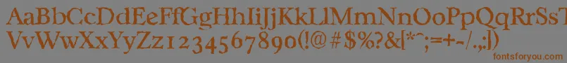 CasablancarandomRegular Font – Brown Fonts on Gray Background