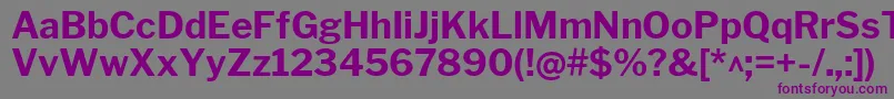 LibrefranklinBold Font – Purple Fonts on Gray Background