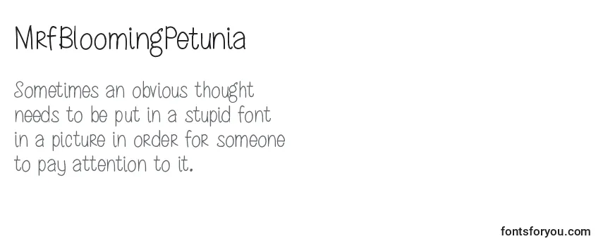 Review of the MrfBloomingPetunia Font