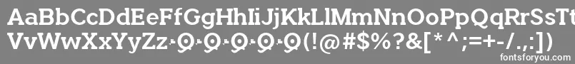 フォントQuotusBold – 灰色の背景に白い文字