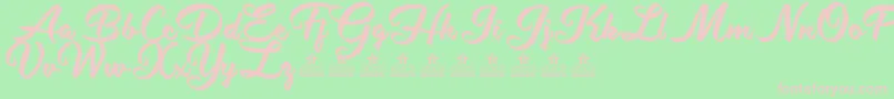 ShityChatsPersonalUse-Schriftart – Rosa Schriften auf grünem Hintergrund