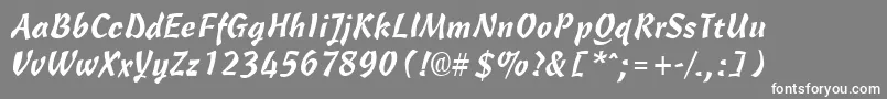 フォントCassiaRegular – 灰色の背景に白い文字