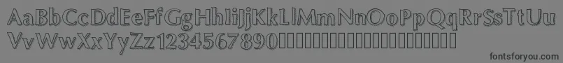 Maximum Font – Black Fonts on Gray Background