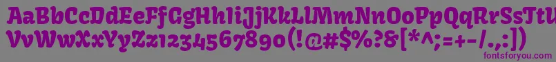 フォントKavoonRegular – 紫色のフォント、灰色の背景
