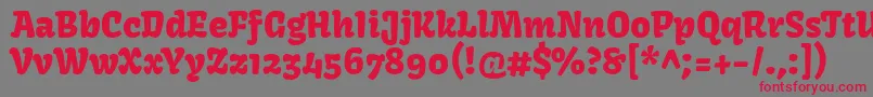 フォントKavoonRegular – 赤い文字の灰色の背景