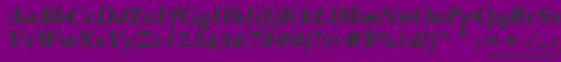 SchneidlerBlackItalicBt Font – Black Fonts on Purple Background