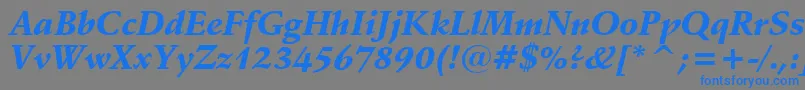 フォントSchneidlerBlackItalicBt – 灰色の背景に青い文字