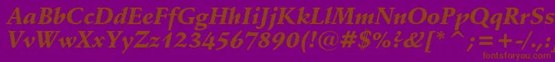 SchneidlerBlackItalicBt Font – Brown Fonts on Purple Background