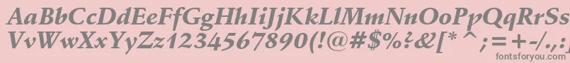 SchneidlerBlackItalicBt Font – Gray Fonts on Pink Background