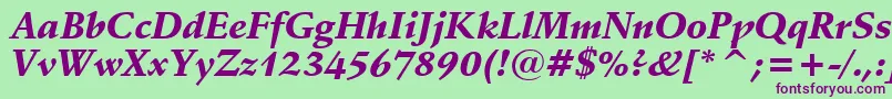 SchneidlerBlackItalicBt-Schriftart – Violette Schriften auf grünem Hintergrund
