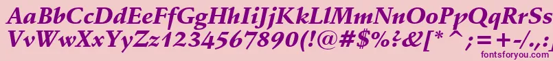 SchneidlerBlackItalicBt Font – Purple Fonts on Pink Background