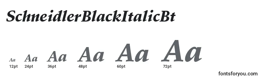 SchneidlerBlackItalicBt Font Sizes