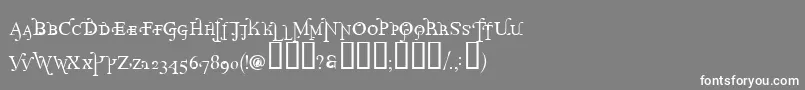 フォントPr – 灰色の背景に白い文字