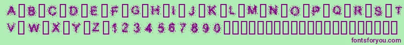 SplatterCaps-Schriftart – Violette Schriften auf grünem Hintergrund