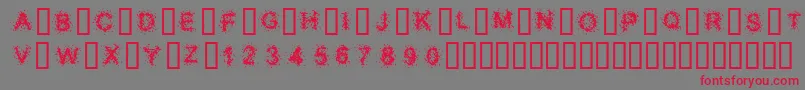 SplatterCaps Font – Red Fonts on Gray Background