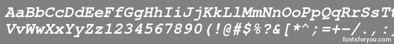 フォントNimbusmonoBoldoblique – 灰色の背景に白い文字