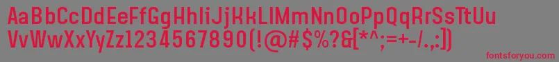 SteagislerRegular Font – Red Fonts on Gray Background