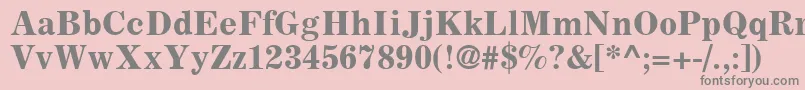 CoronaLtBoldFaceNo.2 Font – Gray Fonts on Pink Background