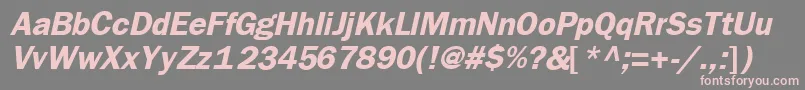 FrankfurtBoldItalic Font – Pink Fonts on Gray Background
