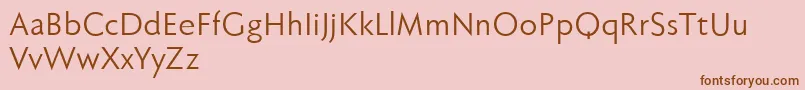 Fabersanspro55reduced Font – Brown Fonts on Pink Background