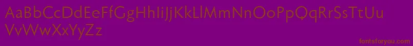Fabersanspro55reduced Font – Brown Fonts on Purple Background