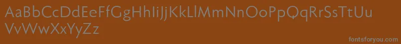 Fabersanspro55reduced Font – Gray Fonts on Brown Background