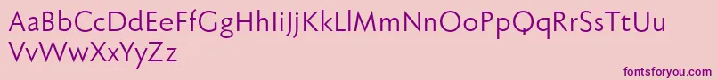 Fabersanspro55reduced Font – Purple Fonts on Pink Background