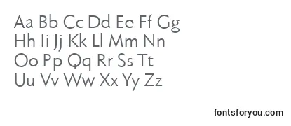 Review of the Fabersanspro55reduced Font