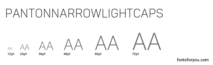 PantonnarrowLightcaps Font Sizes