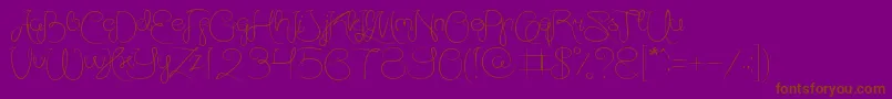 AmazingDayEveryday Font – Brown Fonts on Purple Background