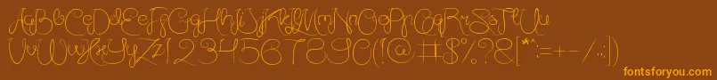 AmazingDayEveryday Font – Orange Fonts on Brown Background