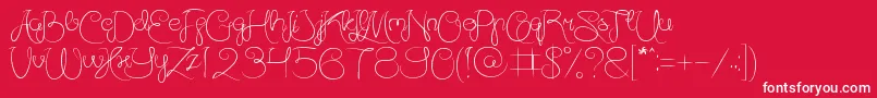AmazingDayEveryday Font – White Fonts on Red Background